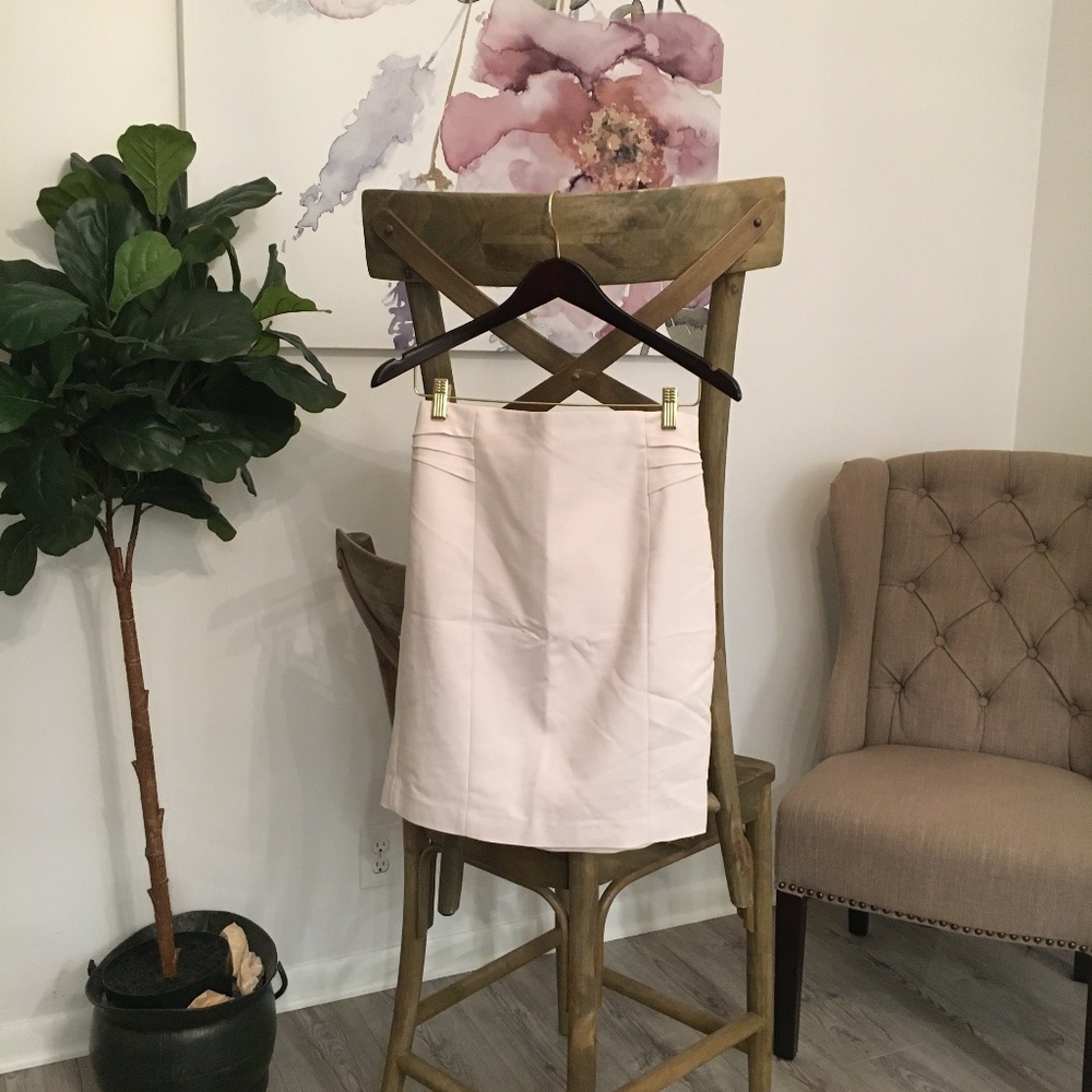 Express Blush Pink Pencil Skirt